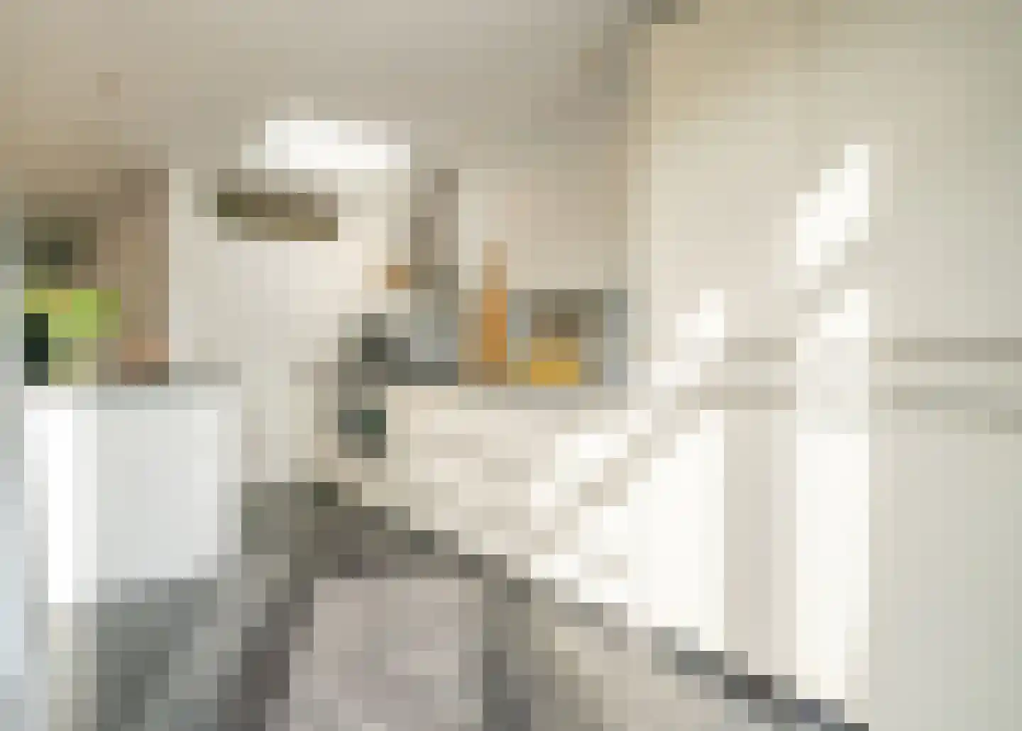 Lingestraat 7 Amersfoort thumbnail 31
