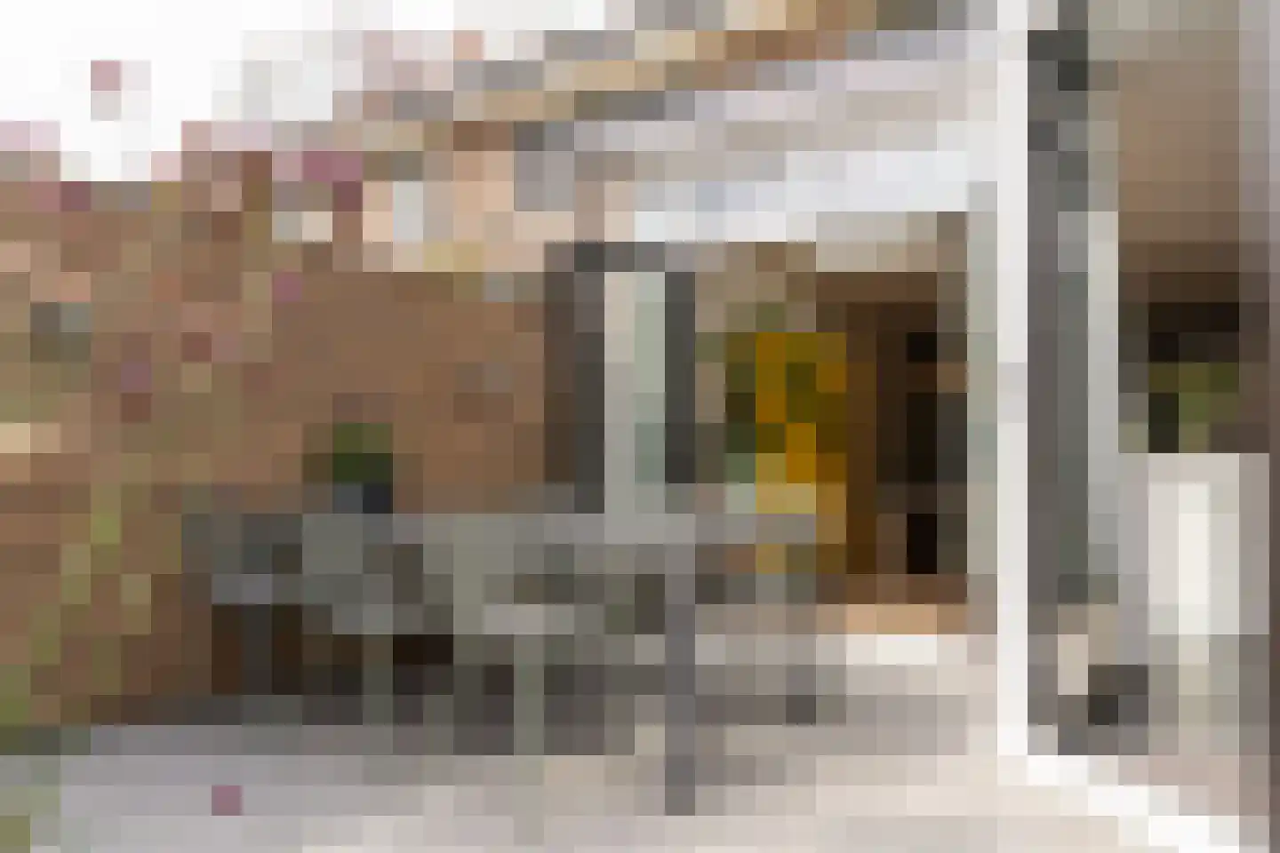 Lingestraat 7 Amersfoort thumbnail 40