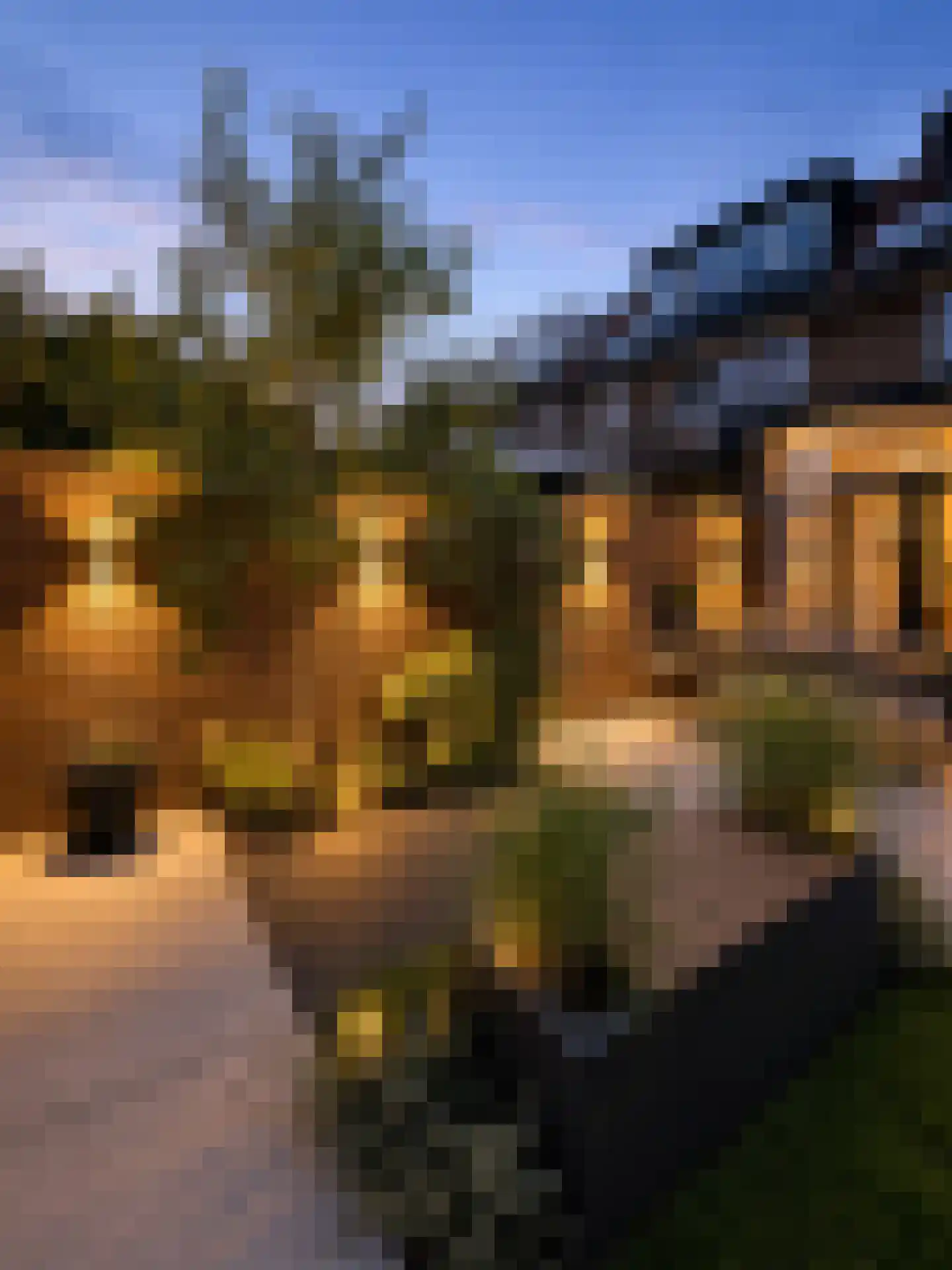 Lingestraat 7 Amersfoort thumbnail 6