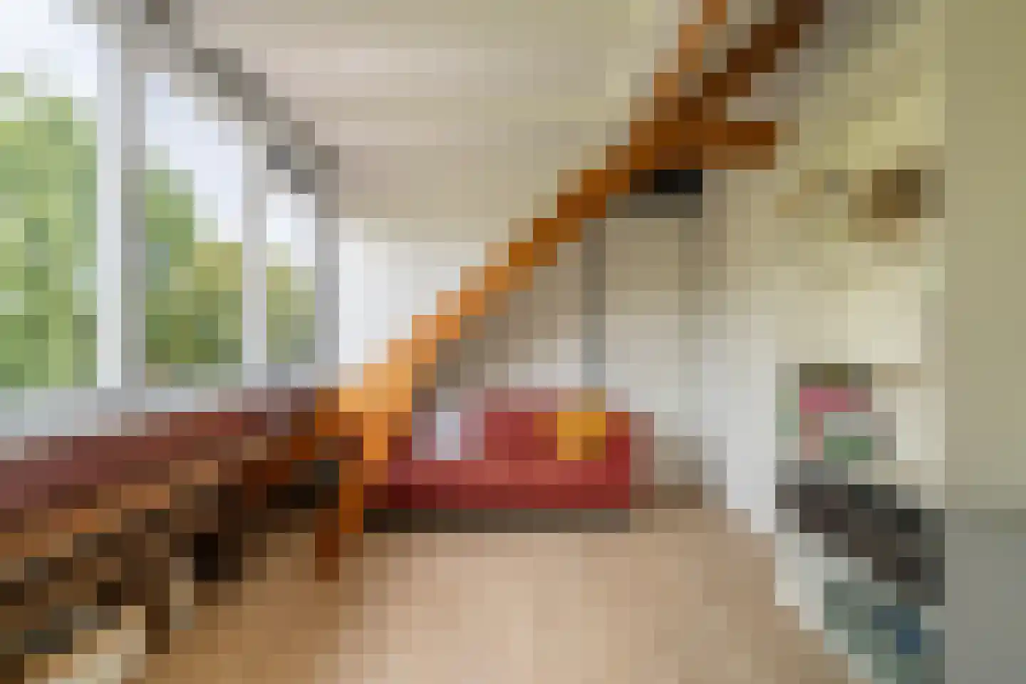 Lingestraat 7 Amersfoort thumbnail 64