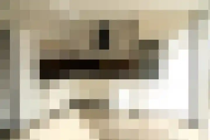 Lingestraat 7 Enspijk thumbnail 4
