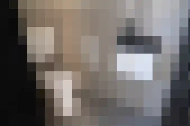 Lingestraat 7 Enspijk thumbnail 6