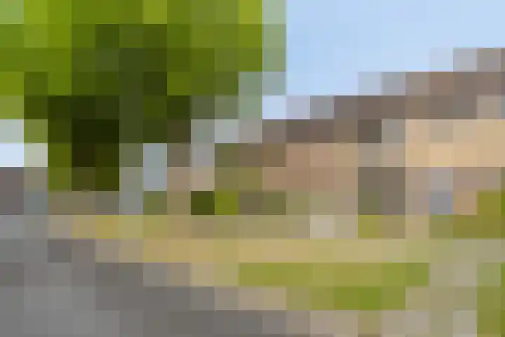Lingestraat 73 Terneuzen thumbnail 6