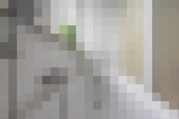 Lingestraat 8 b Groningen thumbnail 32