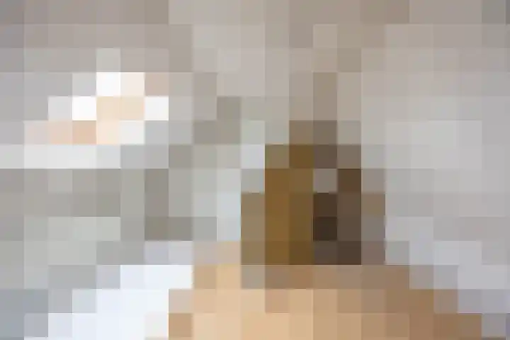 Lingestraat 8 b Groningen thumbnail 35