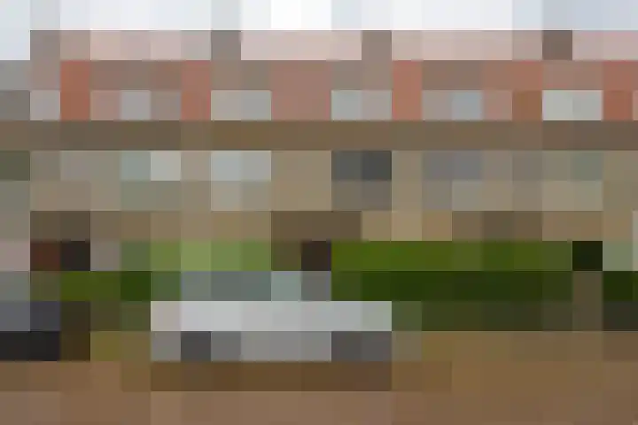 Lingestraat 8 b Groningen thumbnail 4