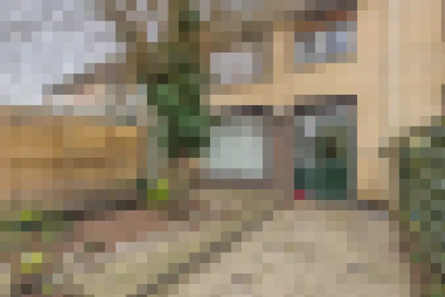 Lingestraat 83 Terneuzen thumbnail 24
