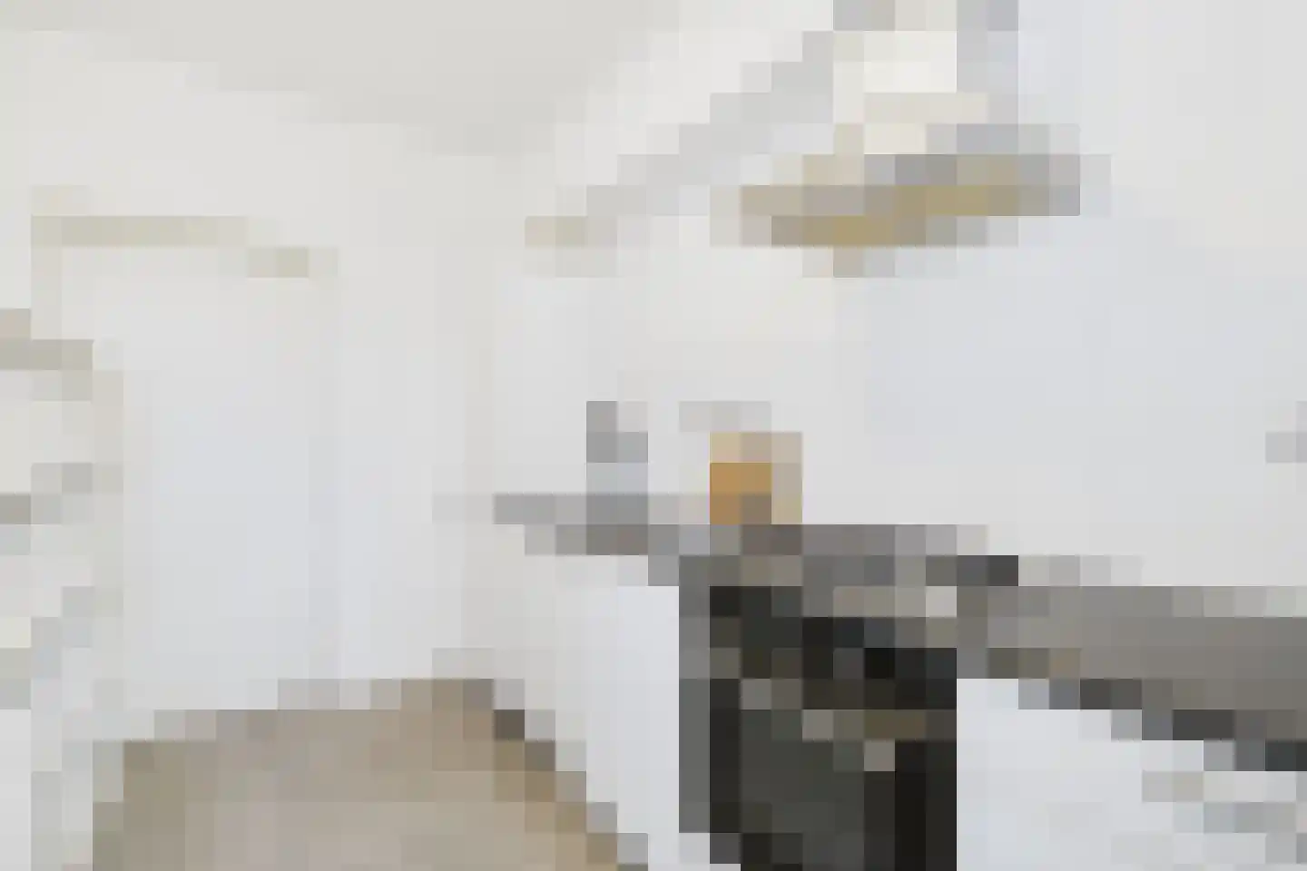 Lingestraat 83 Terneuzen thumbnail 9