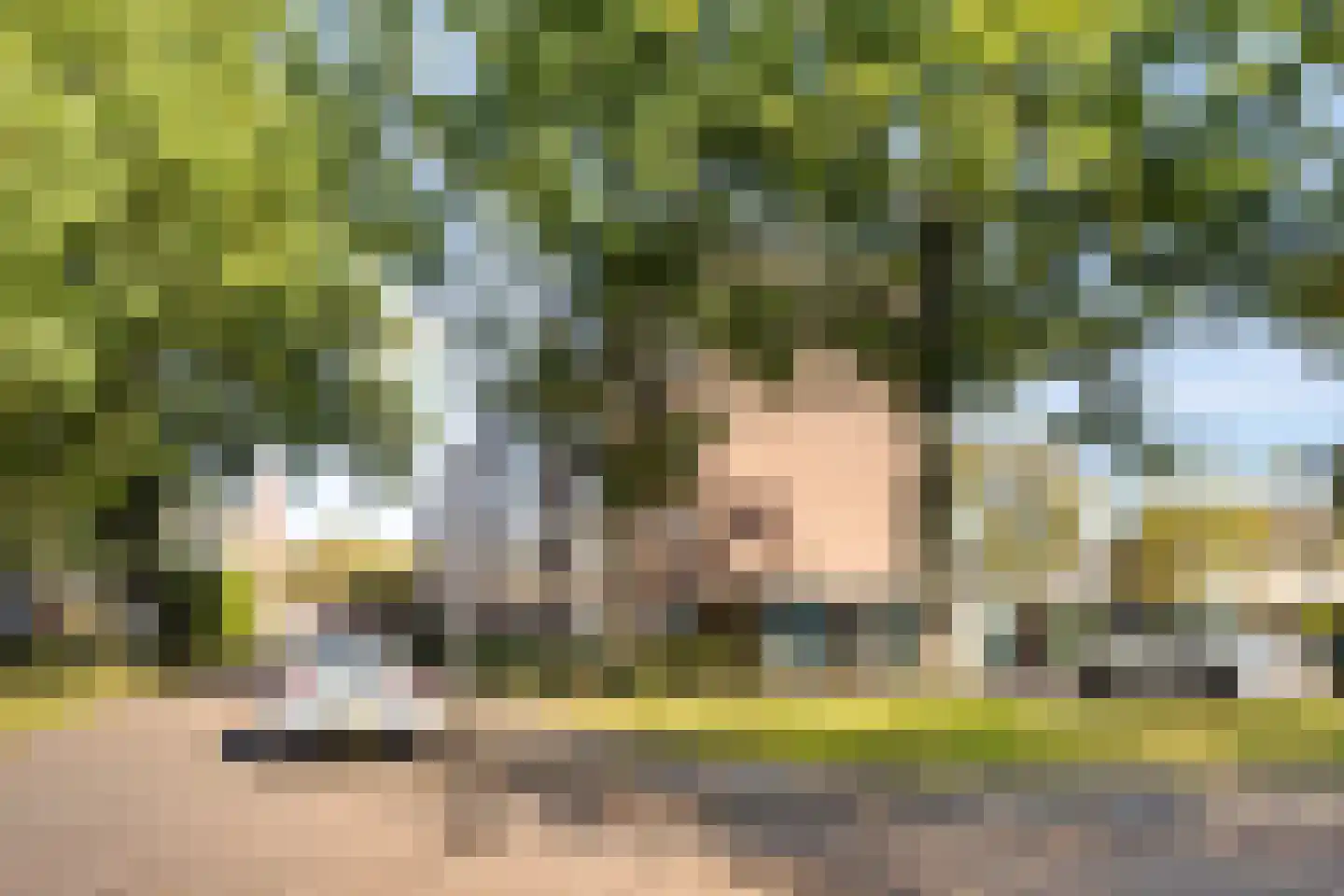 Lingestraat 84 Deventer thumbnail 8
