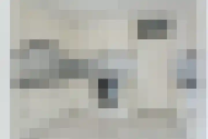 Lingestraat 9 Eindhoven thumbnail 14