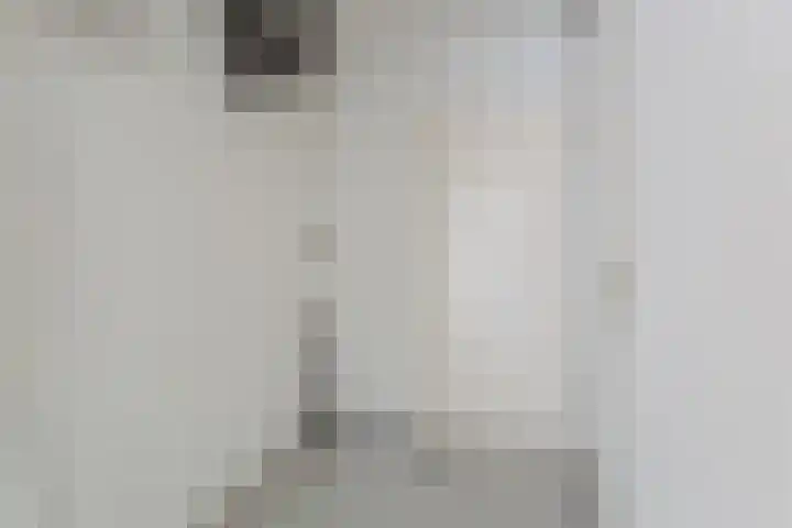Lingestraat 9 Eindhoven thumbnail 15