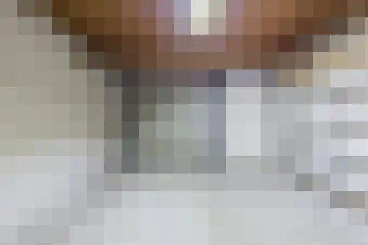 Lingestraat 9 Eindhoven thumbnail 16