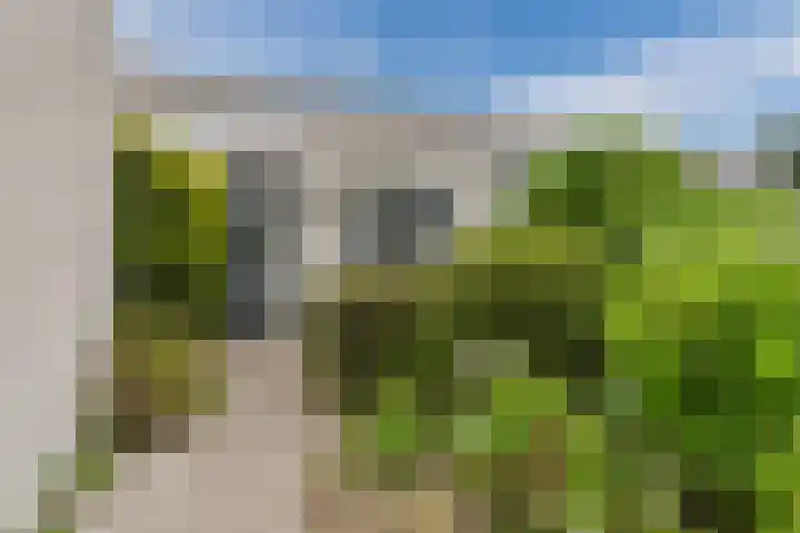 Lingestraat 9 Eindhoven thumbnail 5