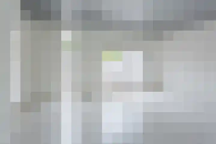 Lingestraat 9 Eindhoven thumbnail 8