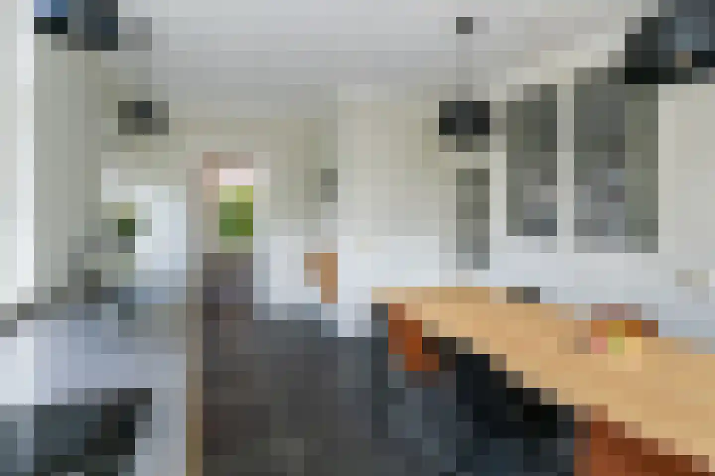 Lingewal 10 Heukelum thumbnail 29