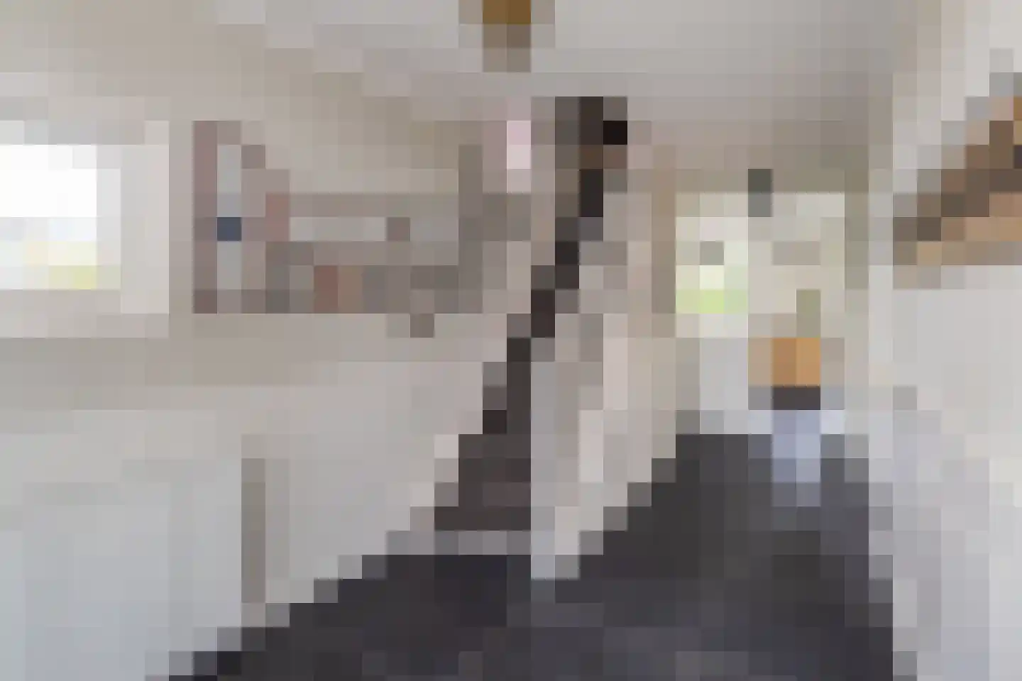 Lingewal 10 Heukelum thumbnail 32
