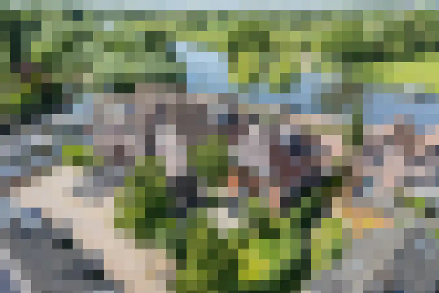 Lingewal 10 Heukelum thumbnail 4