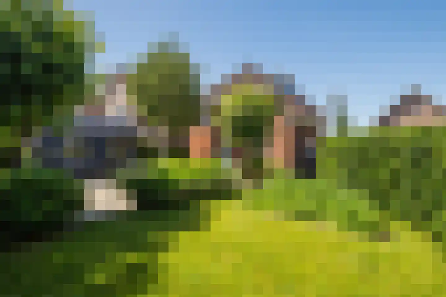 Lingewal 10 Heukelum thumbnail 5
