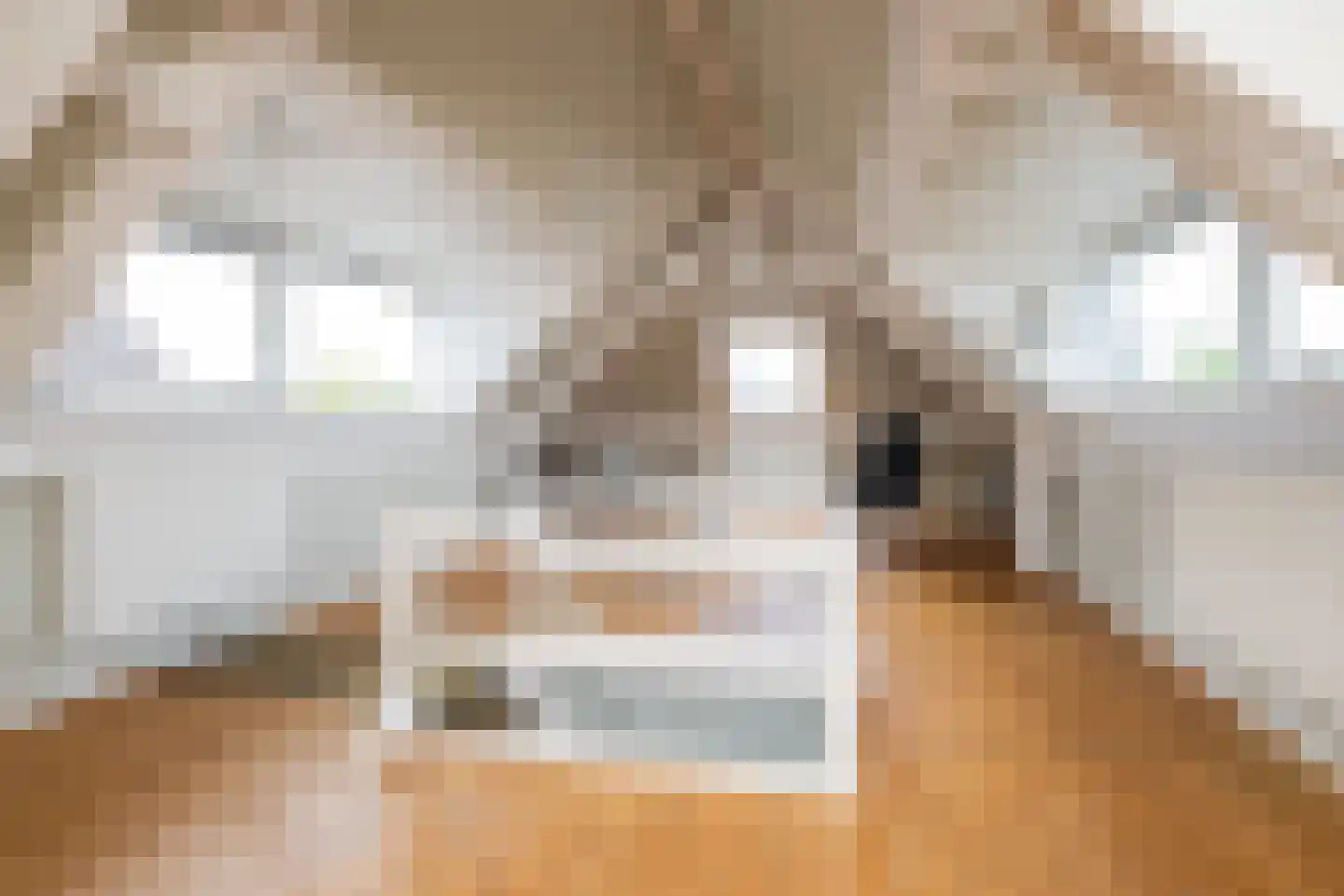 Lingewal 10 Heukelum thumbnail 51