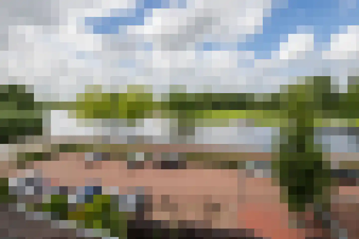 Lingewal 10 Heukelum thumbnail 54