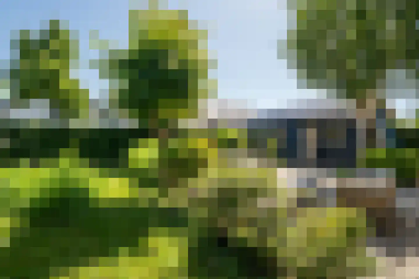 Lingewal 10 Heukelum thumbnail 6