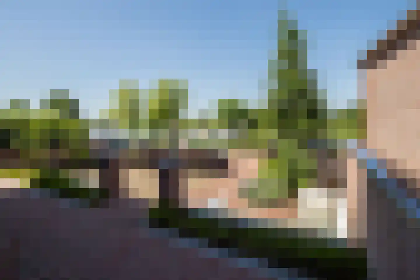 Lingewal 10 Heukelum thumbnail 62