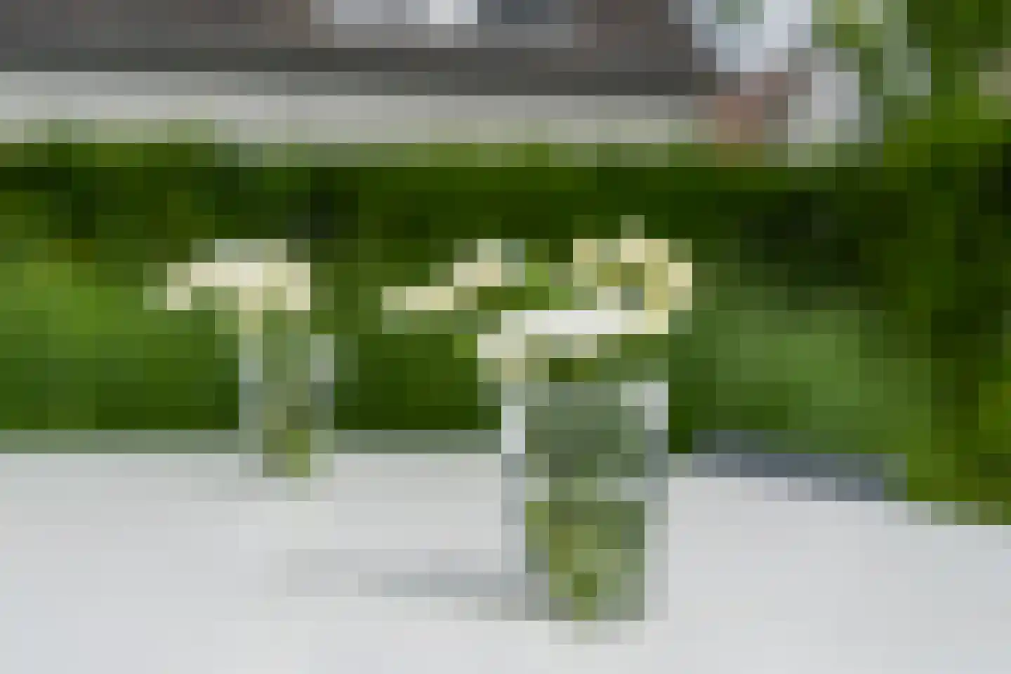 Lingewal 10 Heukelum thumbnail 68