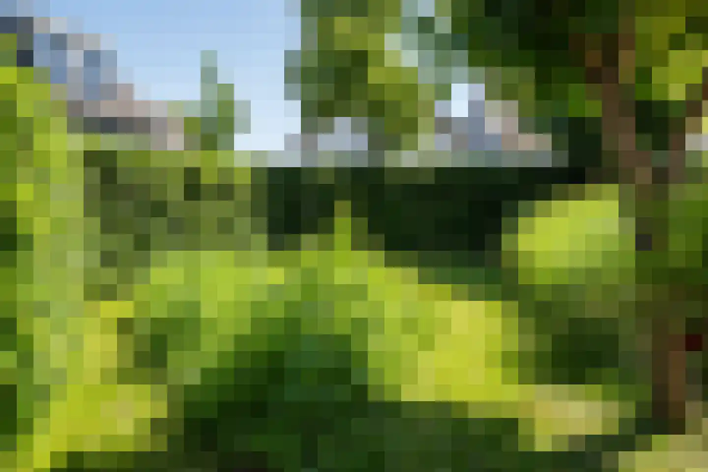 Lingewal 10 Heukelum thumbnail 71