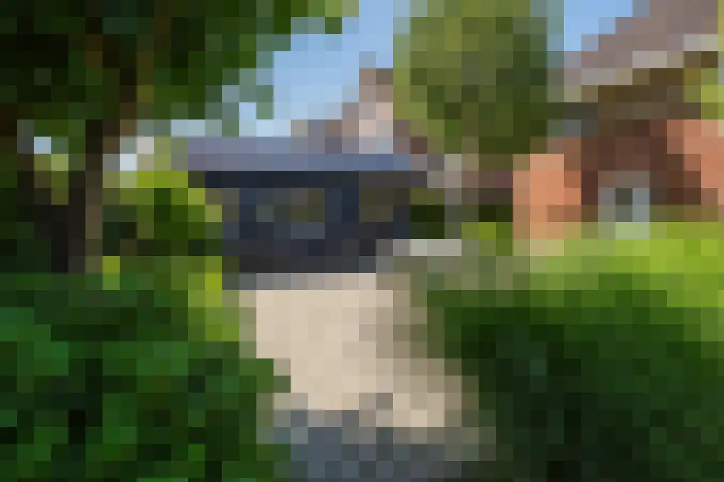 Lingewal 10 Heukelum thumbnail 72