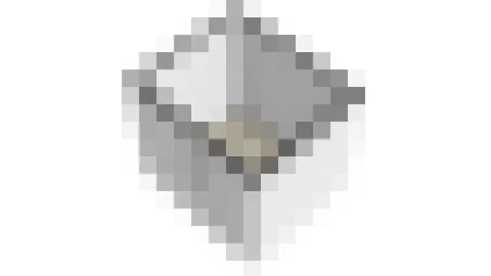 Lingeweg 13 Geldermalsen thumbnail 27