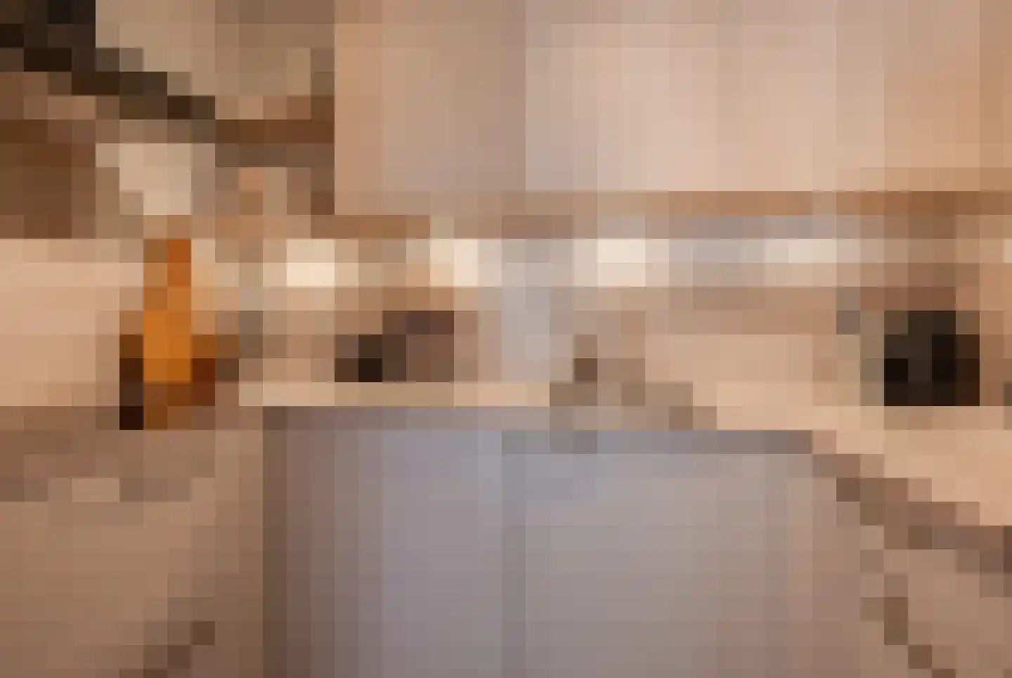 Lingeweg 13 Geldermalsen thumbnail 6