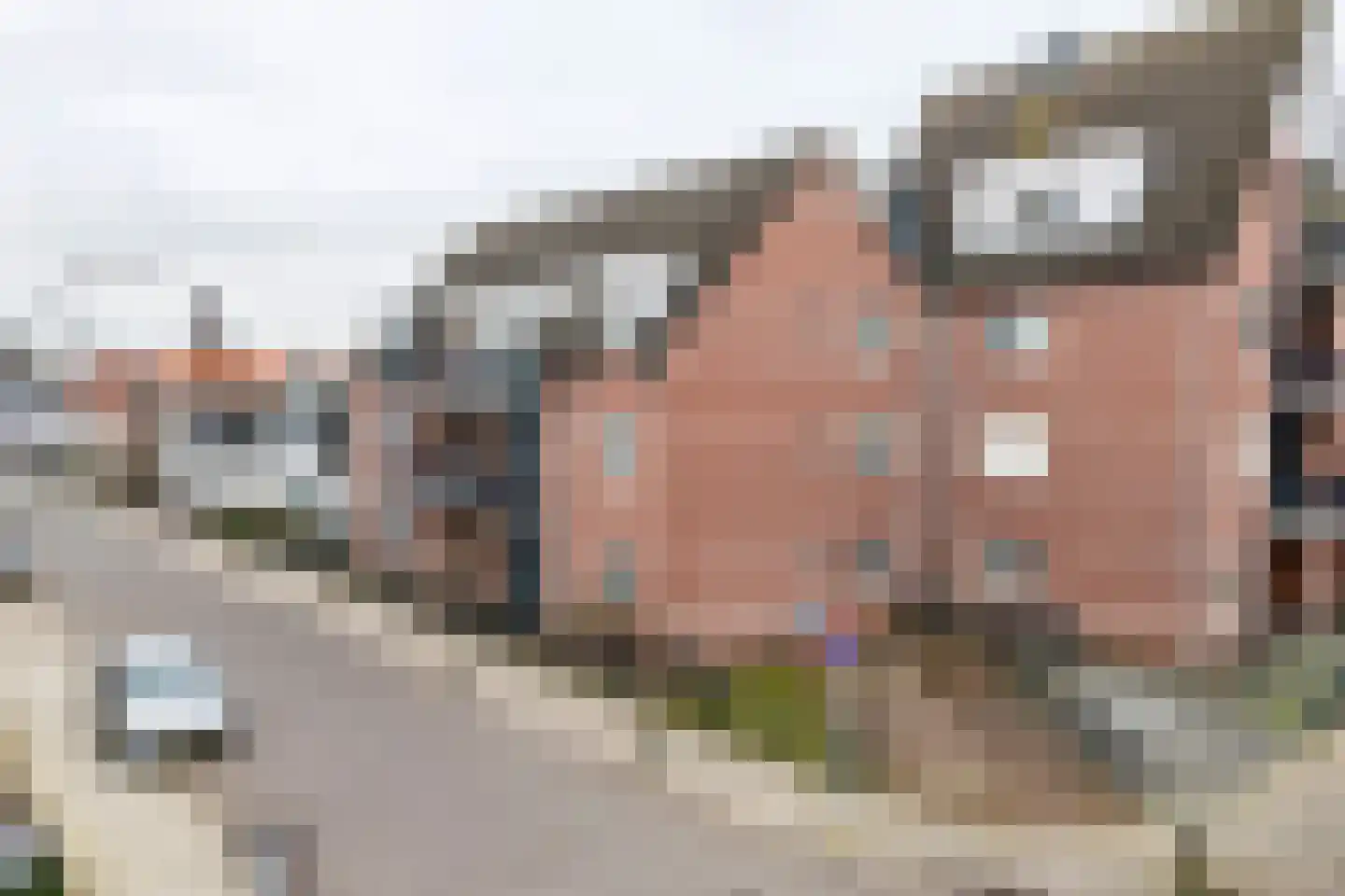 Lingeweg 3 Geldermalsen thumbnail 30
