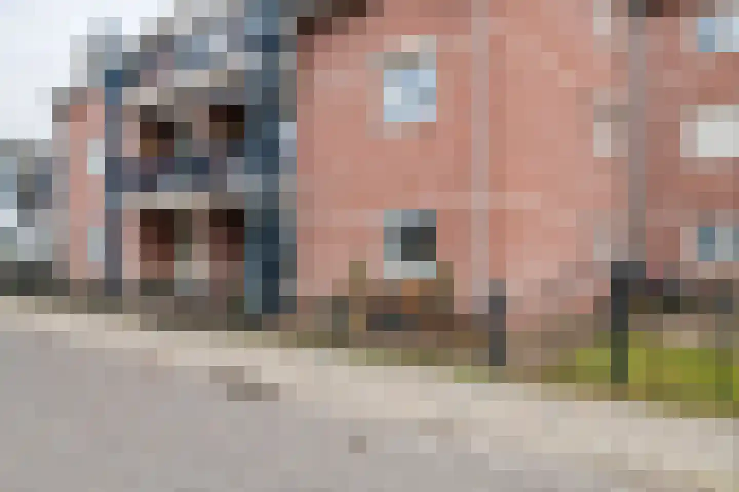 Lingeweg 3 Geldermalsen thumbnail 31