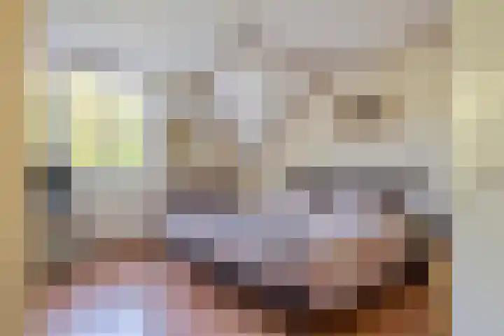 Lingsesdijk 36 Gorinchem thumbnail 25