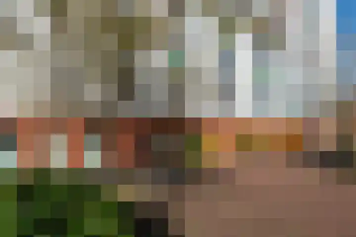 Lingsesdijk 36 Gorinchem thumbnail 45