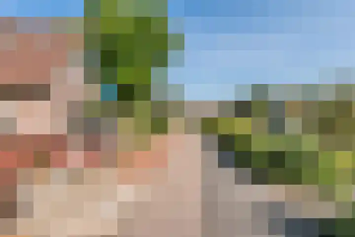 Lingsesdijk 36 Gorinchem thumbnail 45