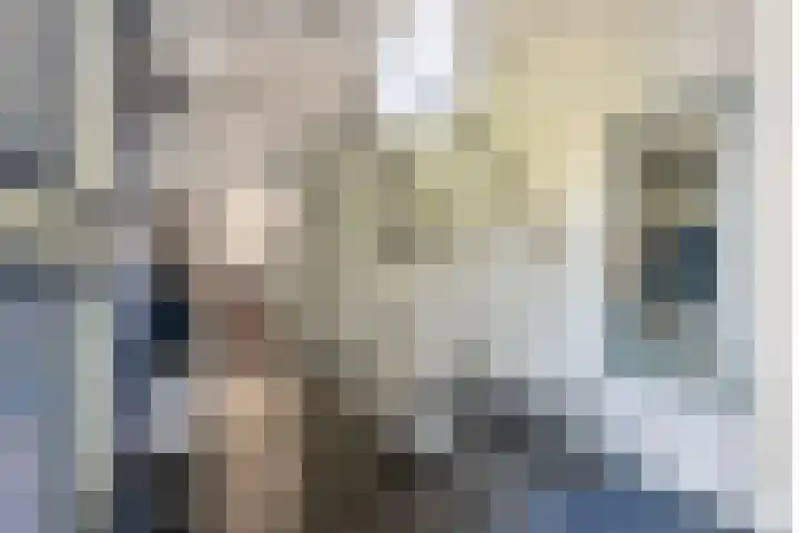 Lingsesdijk 36 Gorinchem thumbnail 5
