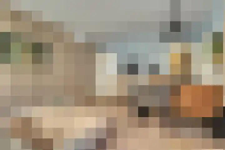Lingsforterweg 107 Arcen thumbnail 10