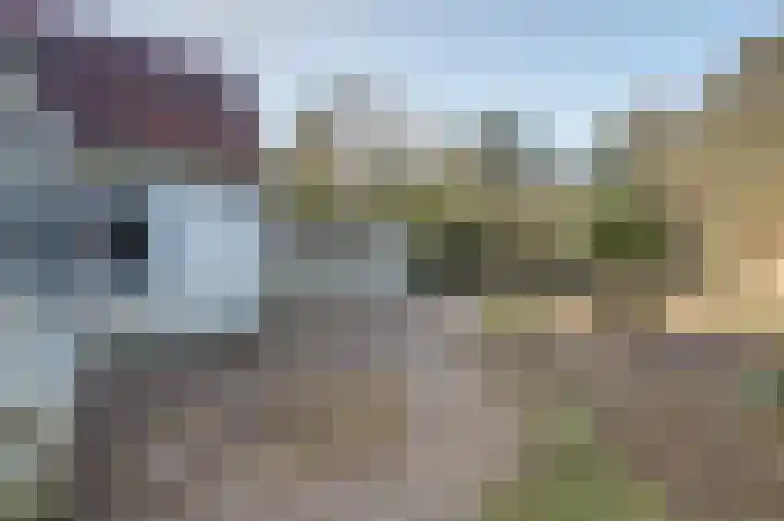 Lingsforterweg 107 Arcen thumbnail 26