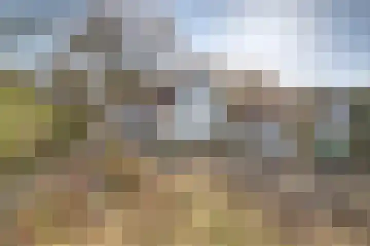 Lingsforterweg 107 Arcen thumbnail 28