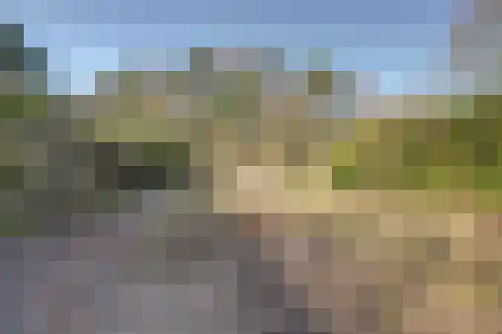 Lingsforterweg 107 Arcen thumbnail 29
