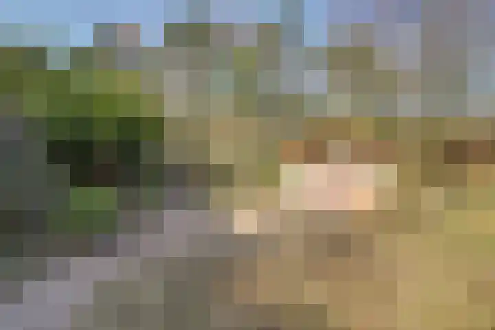 Lingsforterweg 107 Arcen thumbnail 30
