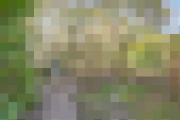 Lingsforterweg 107 Arcen thumbnail 32