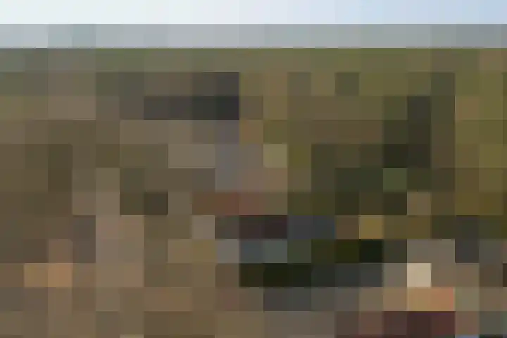 Lingsforterweg 107 Arcen thumbnail 39