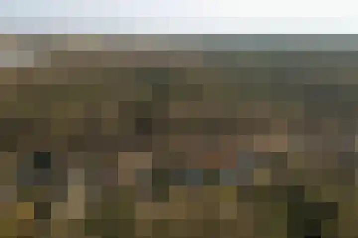 Lingsforterweg 107 Arcen thumbnail 41