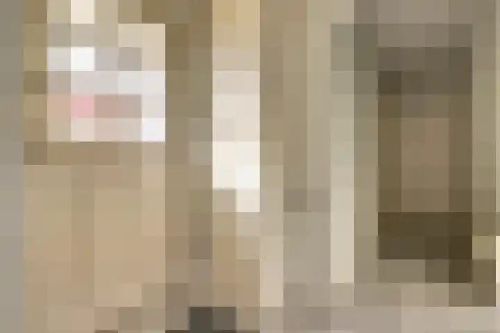 Lingsforterweg 107 Arcen thumbnail 5