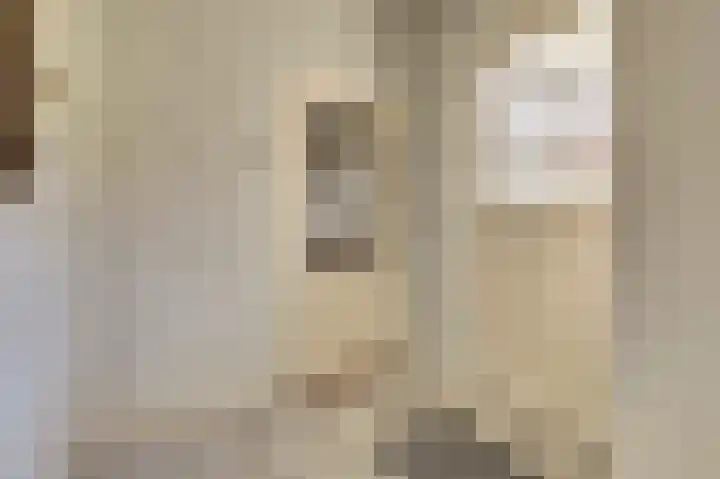 Lingsforterweg 107 Arcen thumbnail 7