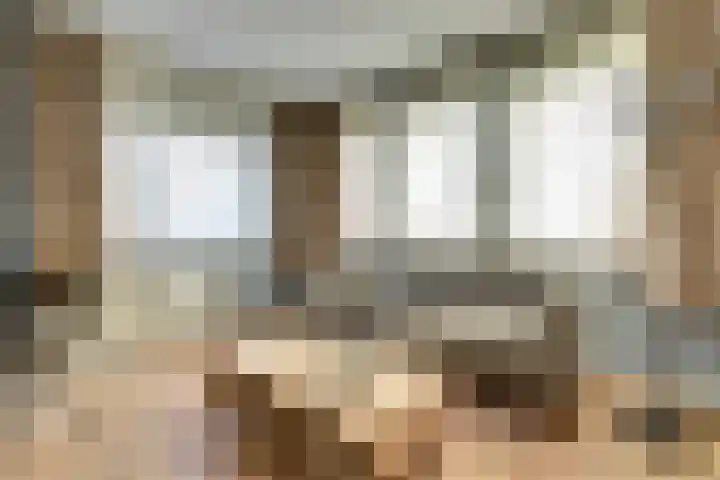 Lingsforterweg 107 Arcen thumbnail 8