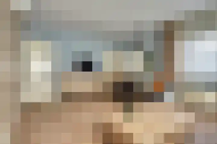 Lingsforterweg 107 Arcen thumbnail 9