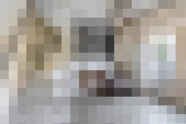Lingsweg 23 Tegelen thumbnail 13